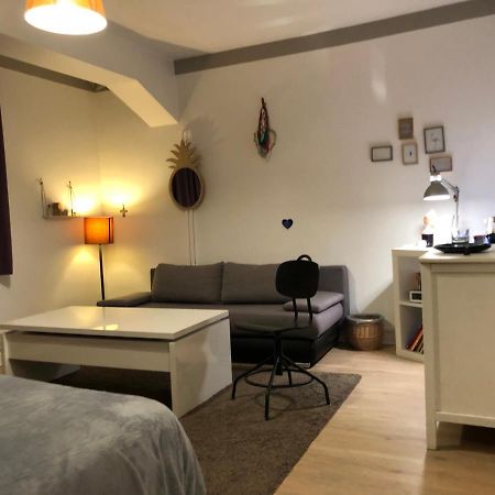 Chambre Independante Aux Pied Des Pyrenees Billere Екстер'єр фото